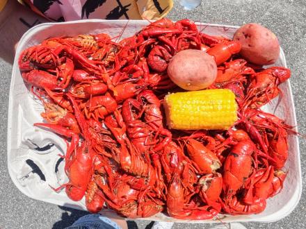 Crawfish plate with potatoes and corn in Orange Beach