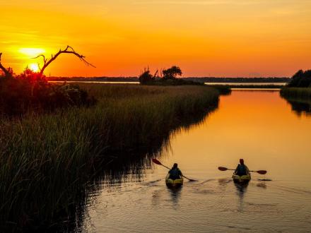 People kayaking at sunrise in Gulf Shores