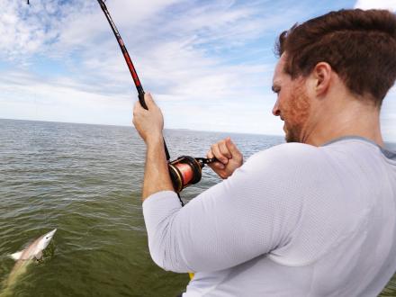 Angler reeling in a spinner shark