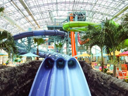 Thrilling waterslides at Tropic Falls Indoor Waterpark on the Alabama Gulf Coast