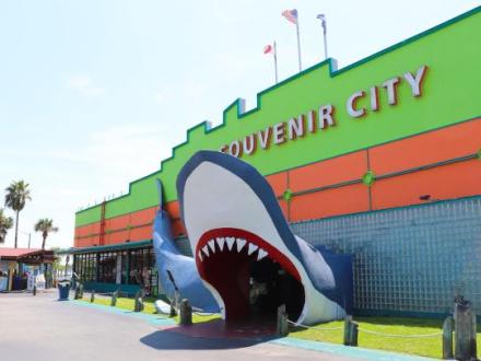 Souvenir City Shark in Gulf Shores, Alabama