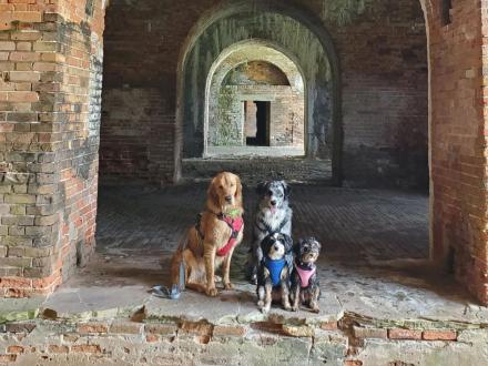 Dogs at Historic Fort Morgan, dog-friendly attraction in Gulf Shores