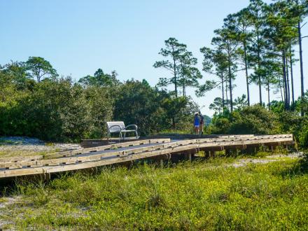 People walking along the Jeff Friend Trail in Bon Secour National Wildlife Refuge.