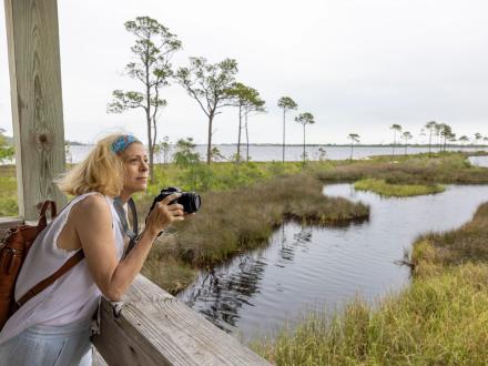 Pine Beach Trail in Bon Secour National Wildlife Refuge Gulf Shores