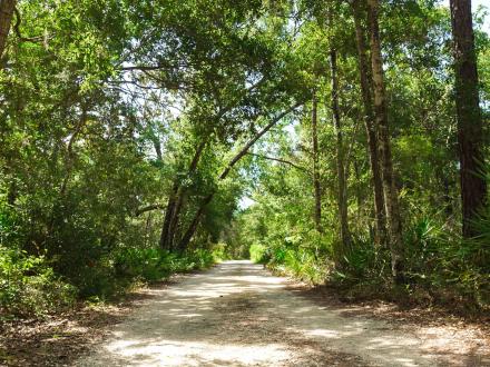 Jeff Friend Walking Trail in Bon Secour Wildlife Refuge