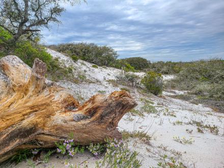 Beach at Little Lagoon inside Bon Secour National Wildlife Refuge