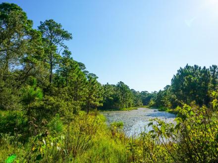 Bon Secour National Wildlife Refuge Trails