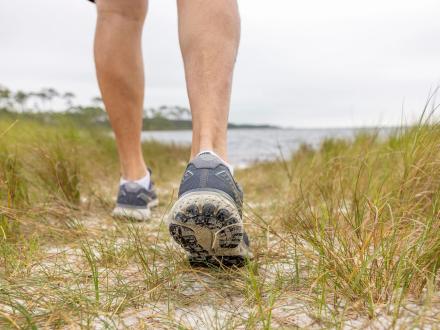 Walking Trail in Bon Secour National Wildlife Refuge Gulf Shores