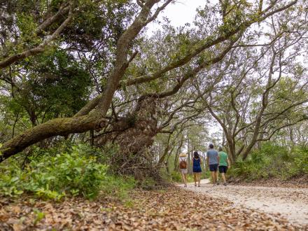 People hiking on the Pine Beach Trail in Bon Secour National Wildlife Refuge in Gulf Shores