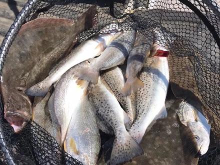 Basket full of freshly caught trout and flounder on an Orange Beach fishing charter