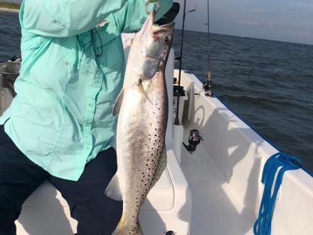 Angler holding speckled trout caught inshore on Alabama's Beaches