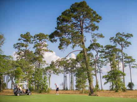 Men playing golf at Peninsula Racquet & Golf Club in Gulf Shores