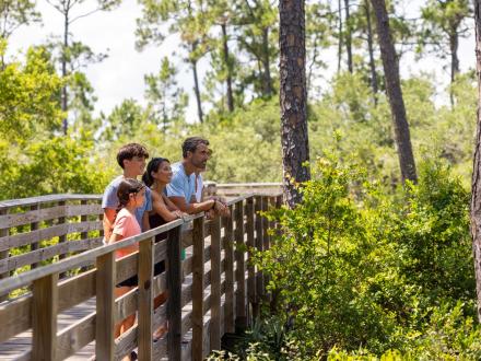 Family sightseeing on the trails in Gulf State Park
