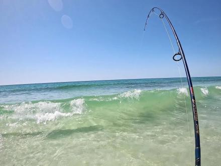 Fishing rod reeling in a fish in the surf in Gulf Shores