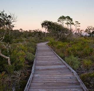 Nature walk
