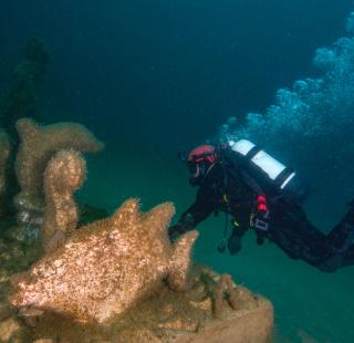 Diver explores one of Coastal Alabama's artificial reefs